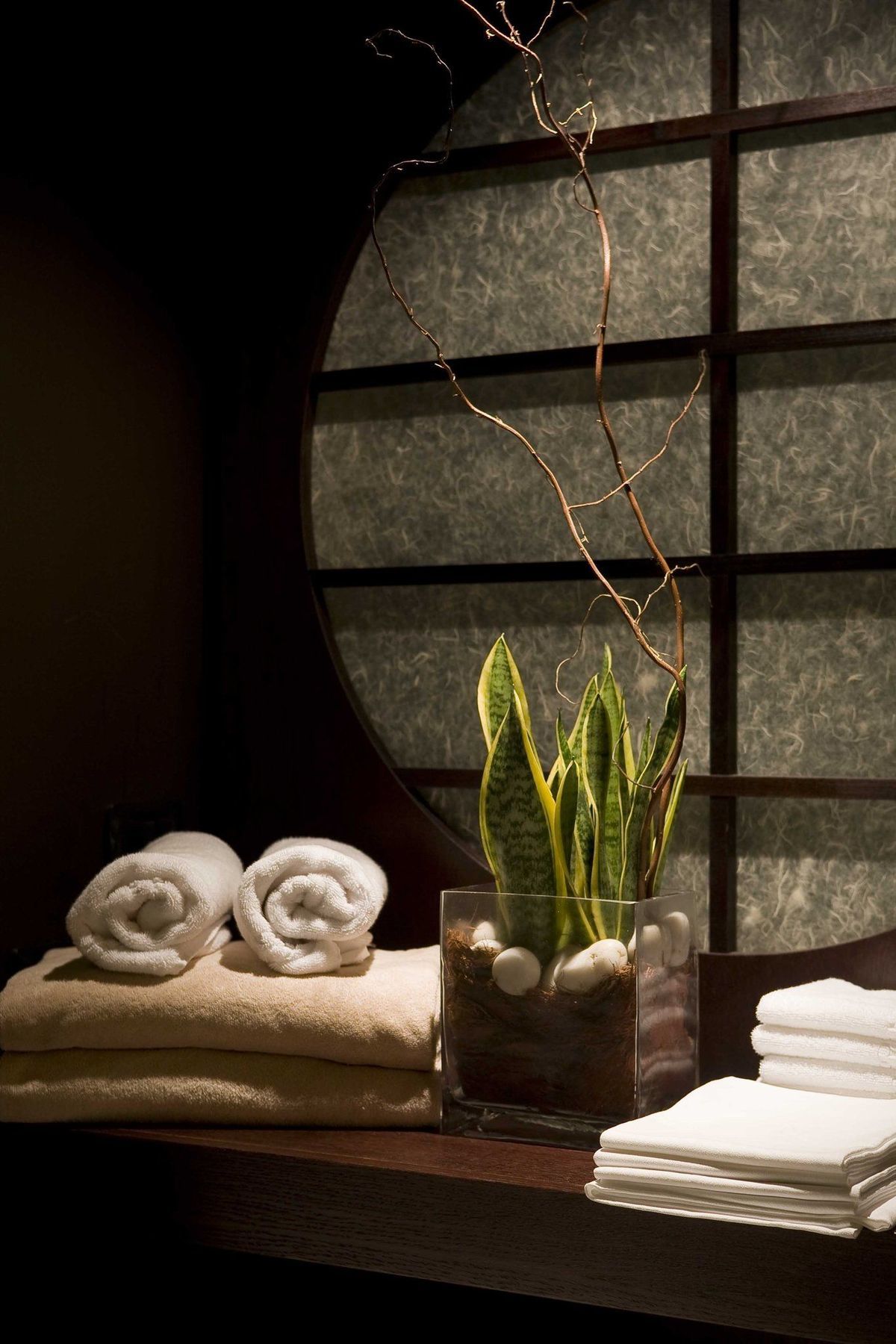 Royal Hotel Sanremo Tiện nghi bức ảnh Sansevieria trifasciata in a spa